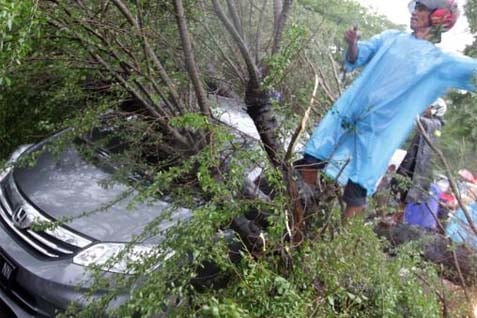  Hindari Jatuh Korban, Pemkot Tangerang Pangkas Pohon